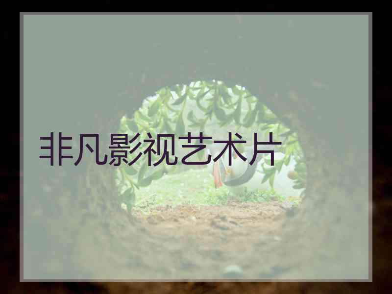 非凡影视艺术片