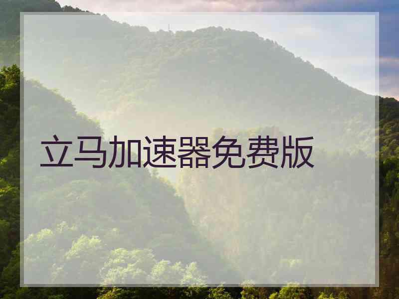立马加速器免费版