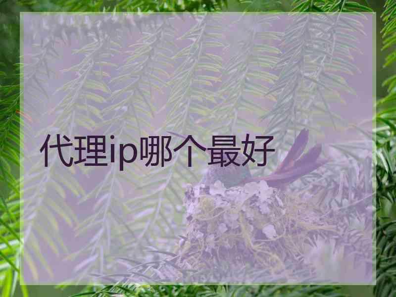 代理ip哪个最好