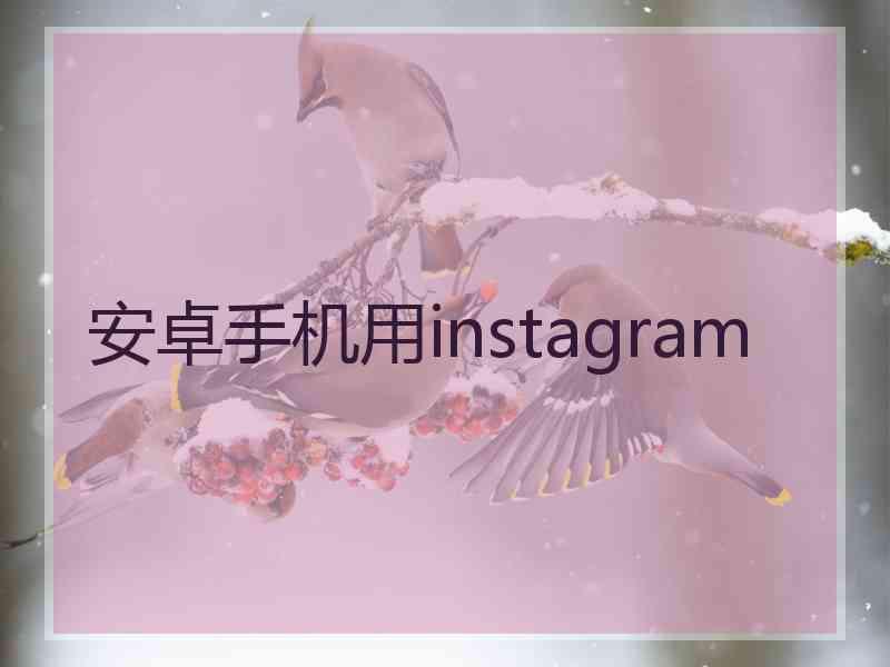 安卓手机用instagram