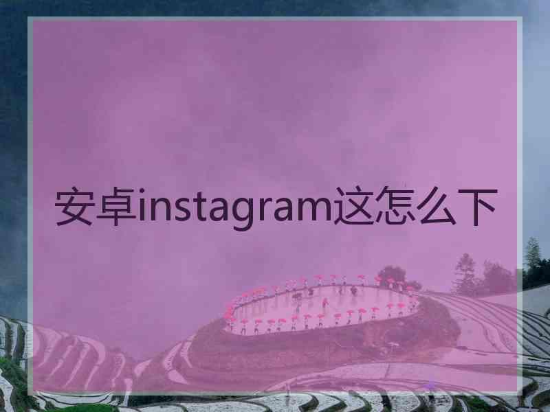 安卓instagram这怎么下