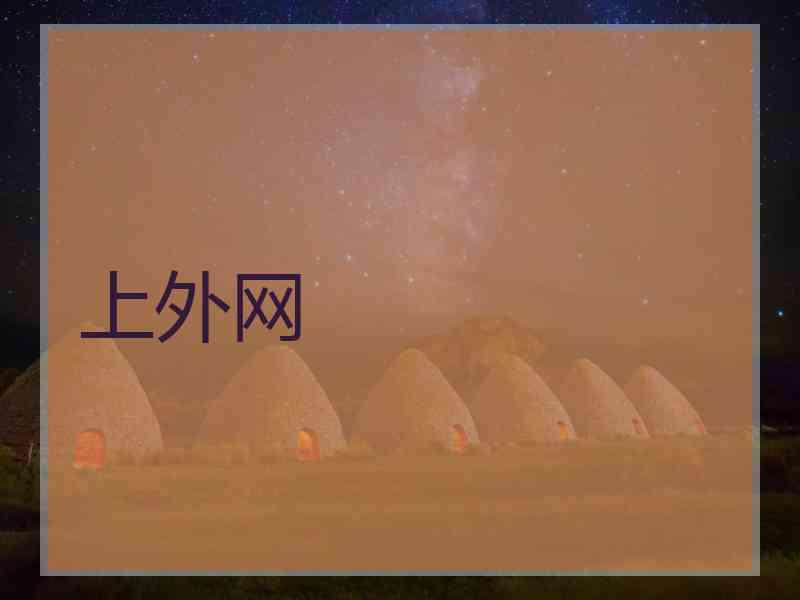 上外网