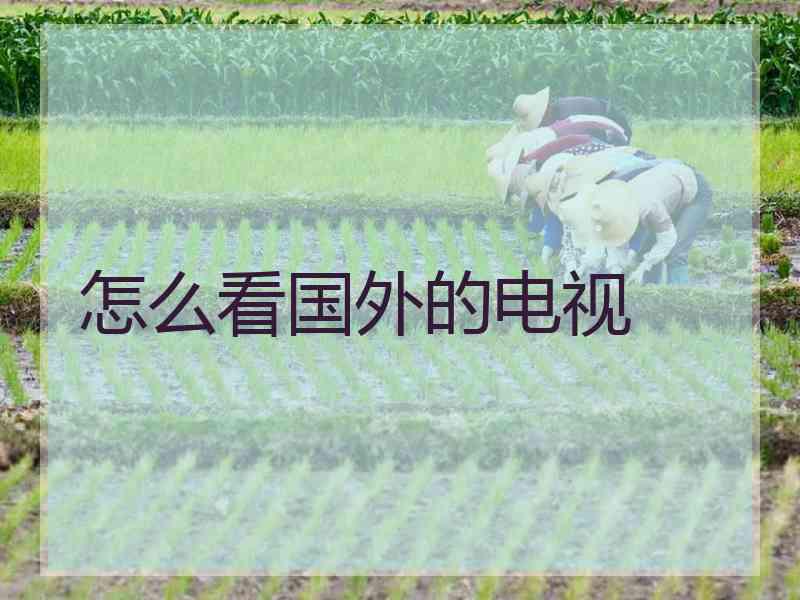 怎么看国外的电视