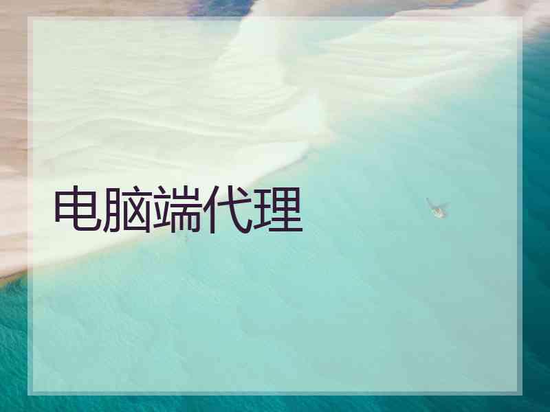 电脑端代理