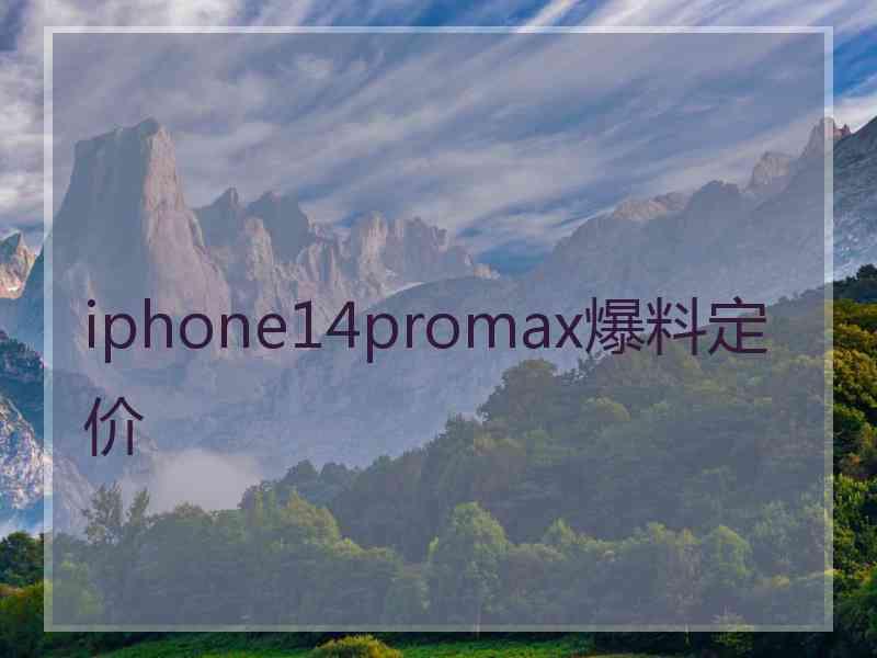 iphone14promax爆料定价