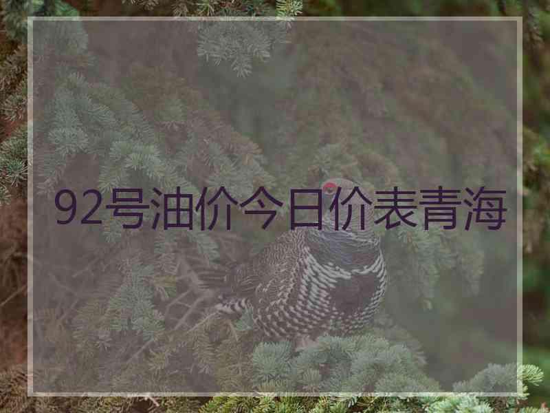 92号油价今日价表青海