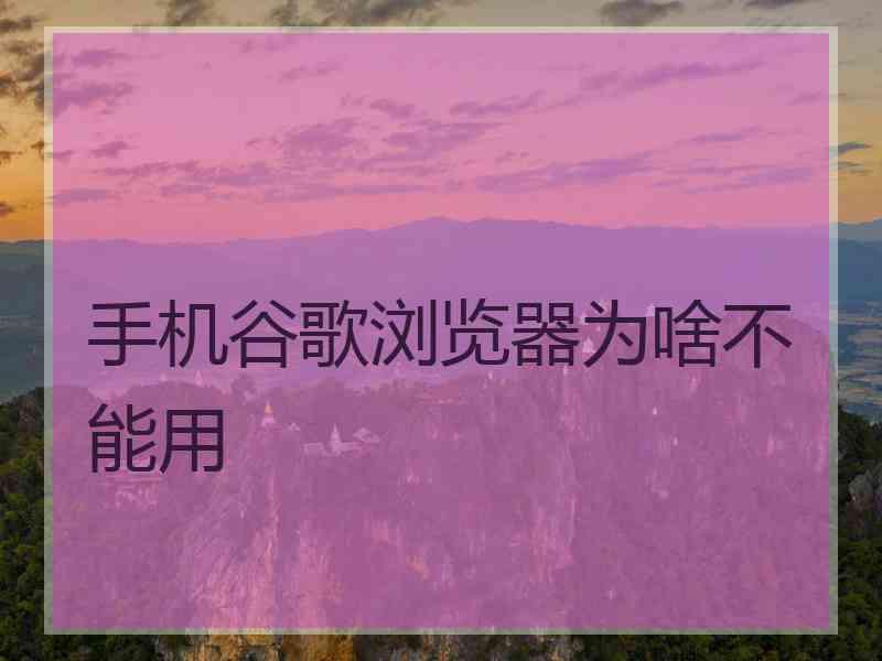 手机谷歌浏览器为啥不能用