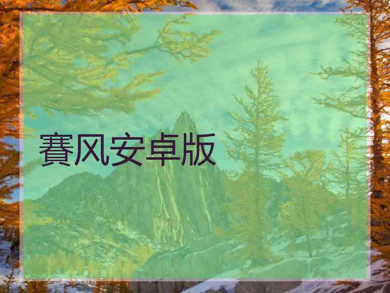 賽风安卓版