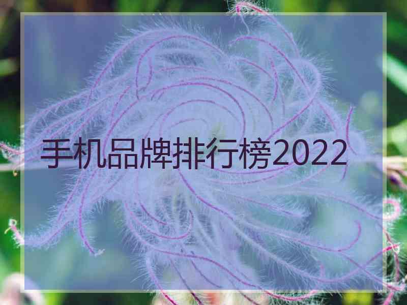 手机品牌排行榜2022