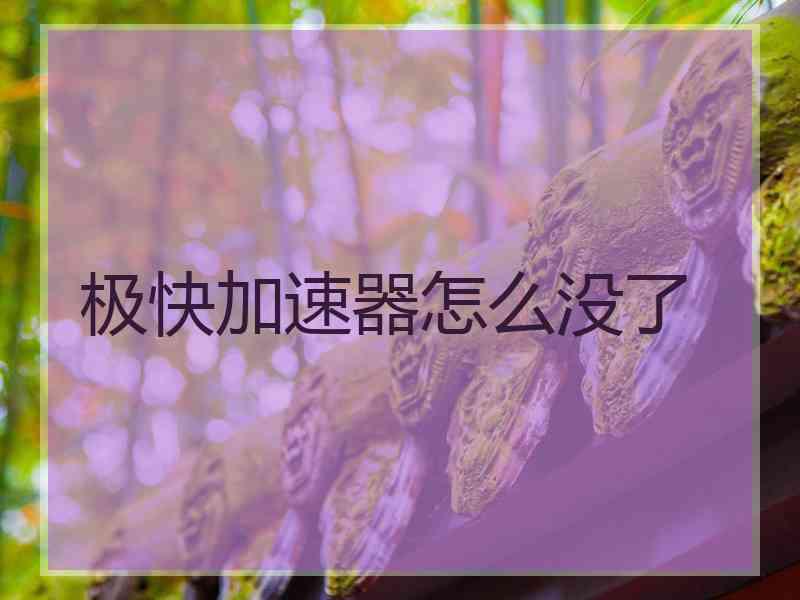 极快加速器怎么没了
