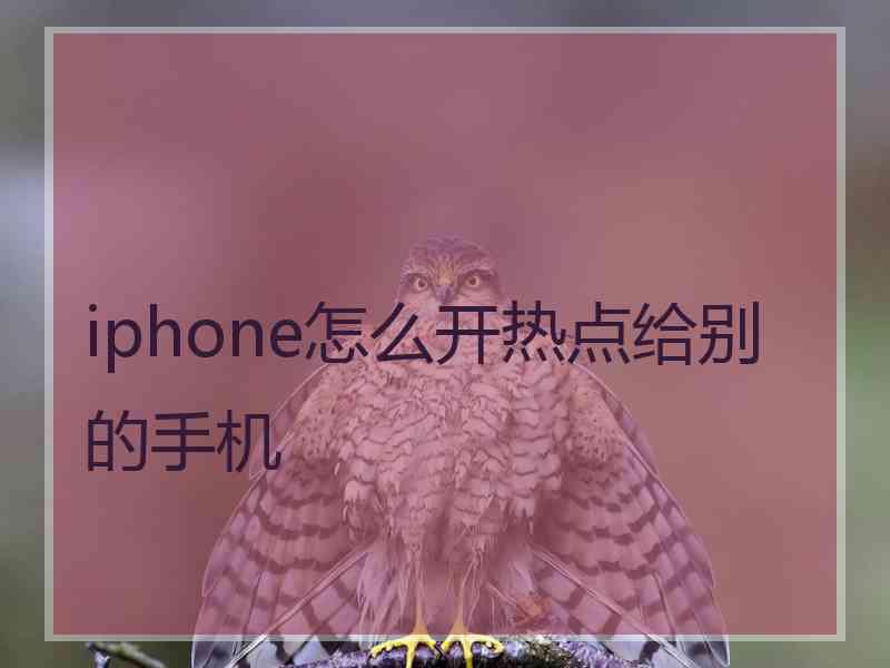 iphone怎么开热点给别的手机