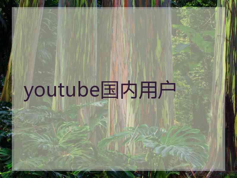 youtube国内用户