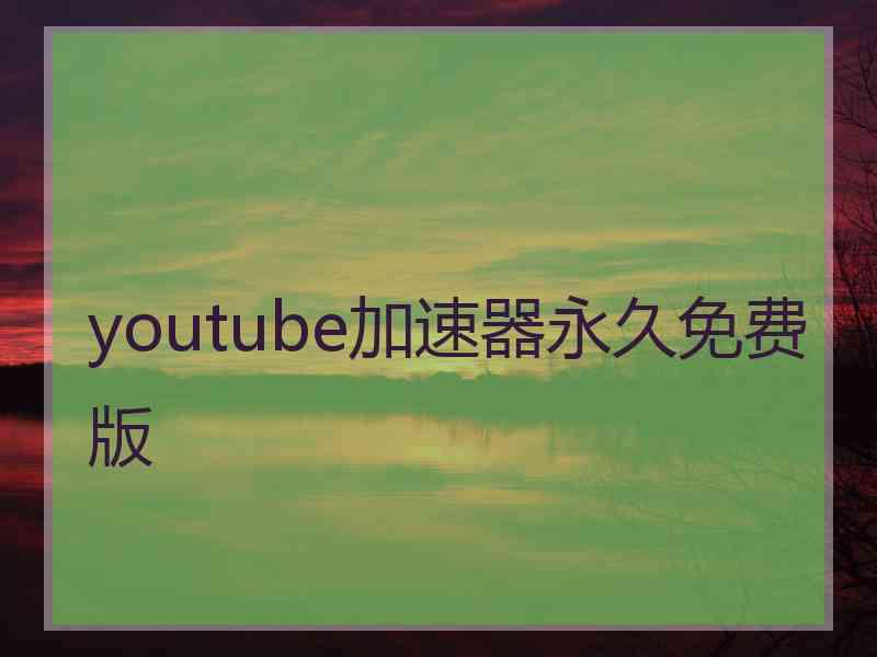 youtube加速器永久免费版