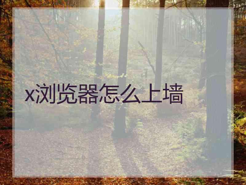 x浏览器怎么上墙
