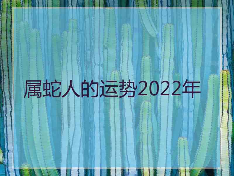 属蛇人的运势2022年