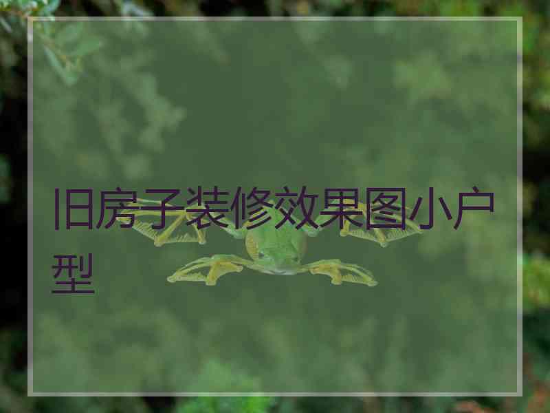 旧房子装修效果图小户型