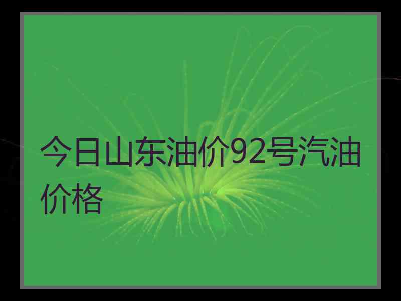 今日山东油价92号汽油价格