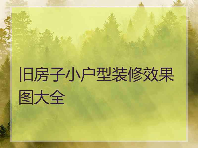 旧房子小户型装修效果图大全