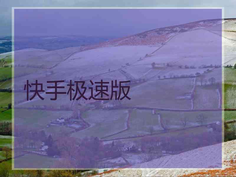 快手极速版