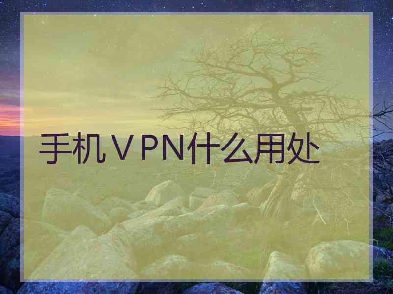 手机ⅤPN什么用处