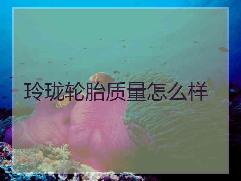 玲珑轮胎质量怎么样