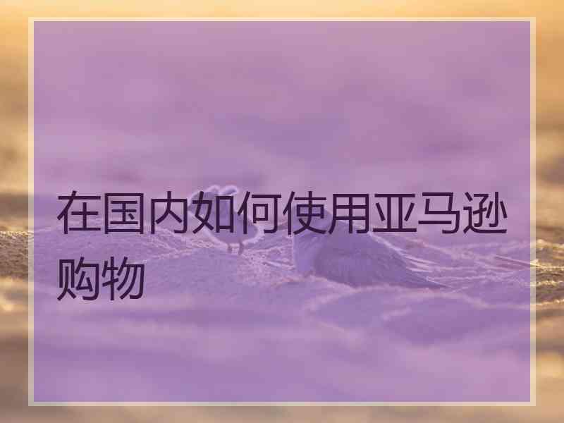 在国内如何使用亚马逊购物
