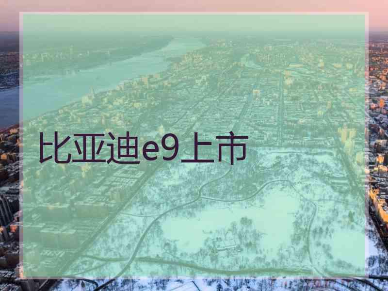 比亚迪e9上市