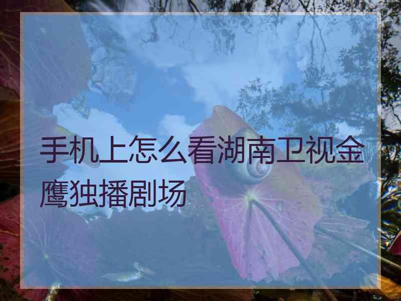 手机上怎么看湖南卫视金鹰独播剧场