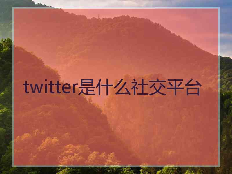 twitter是什么社交平台