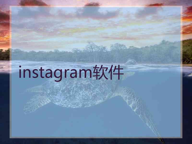 instagram软件