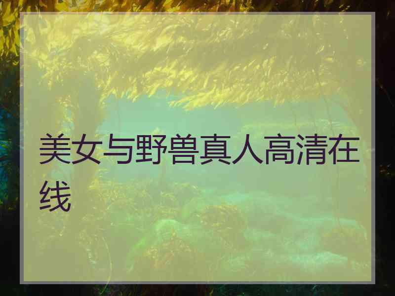 美女与野兽真人高清在线