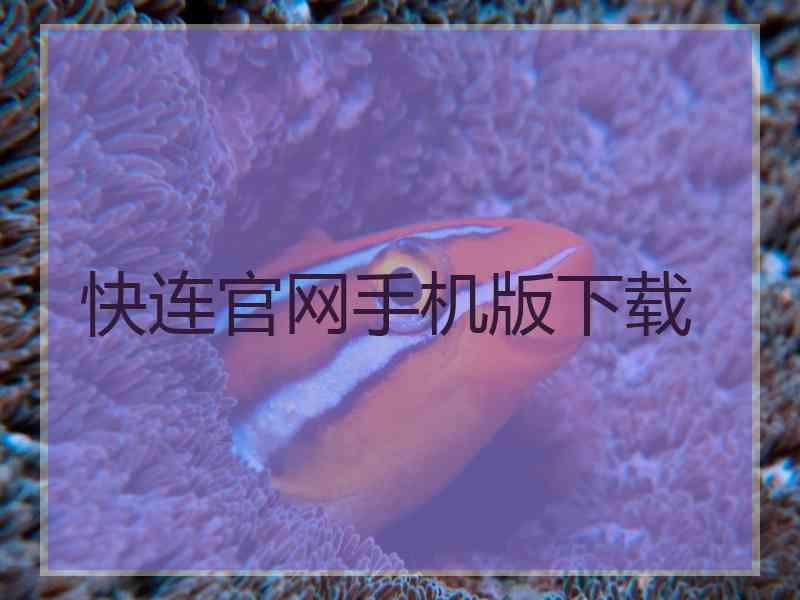 快连官网手机版下载