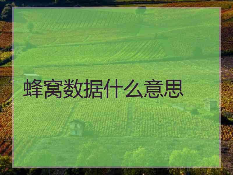 蜂窝数据什么意思