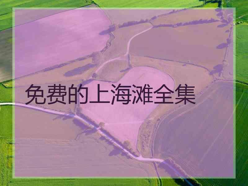 免费的上海滩全集