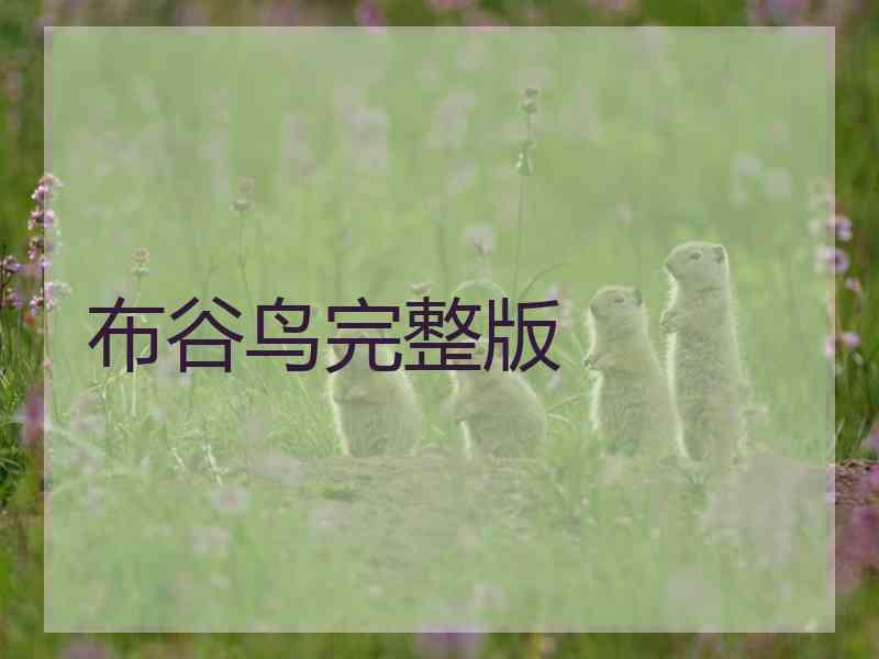 布谷鸟完整版