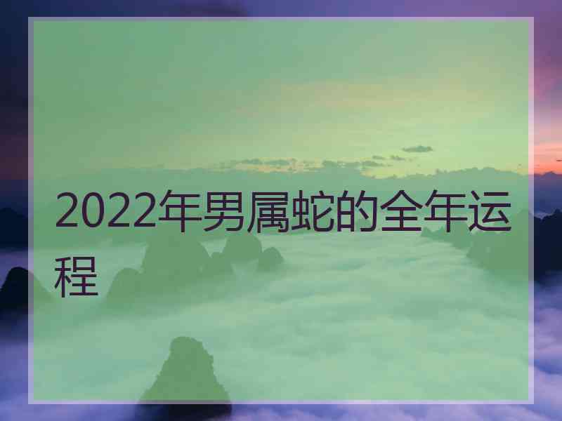 2022年男属蛇的全年运程