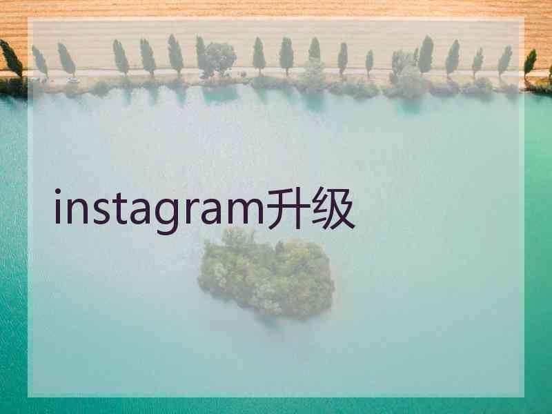 instagram升级