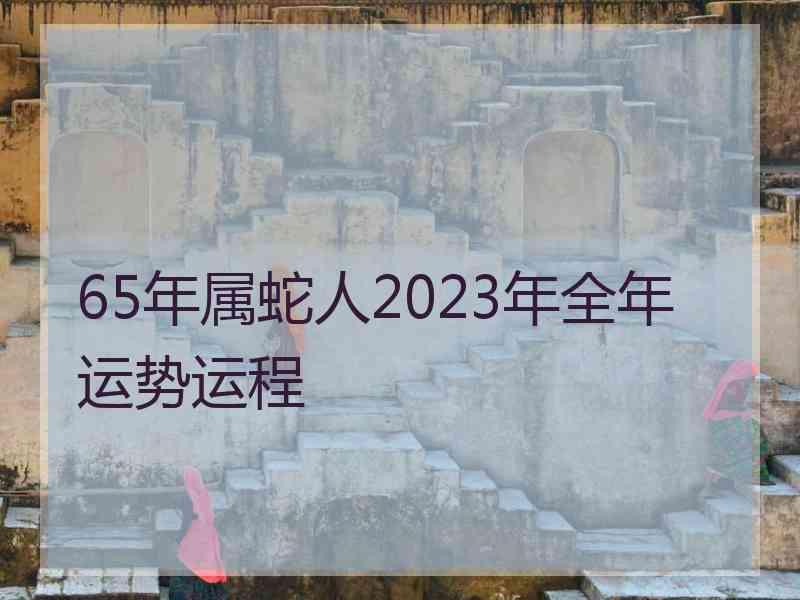 65年属蛇人2023年全年运势运程