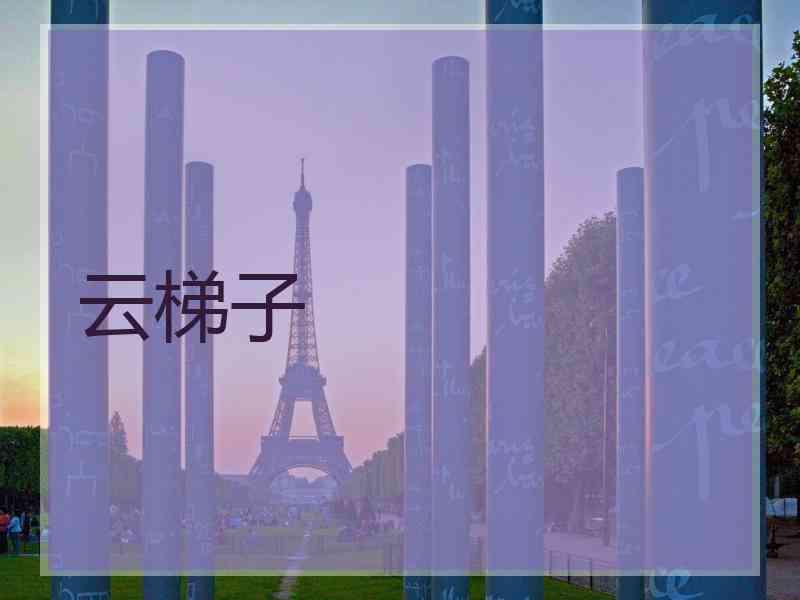 云梯子