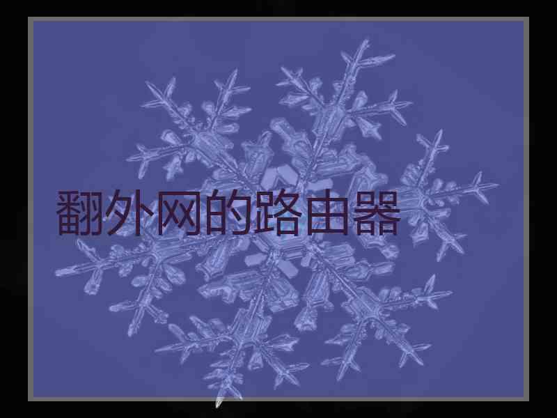 翻外网的路由器