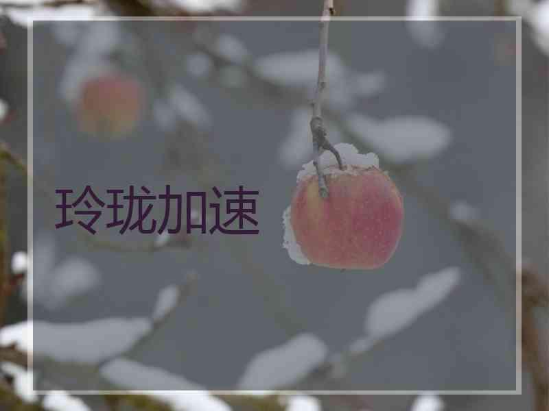 玲珑加速