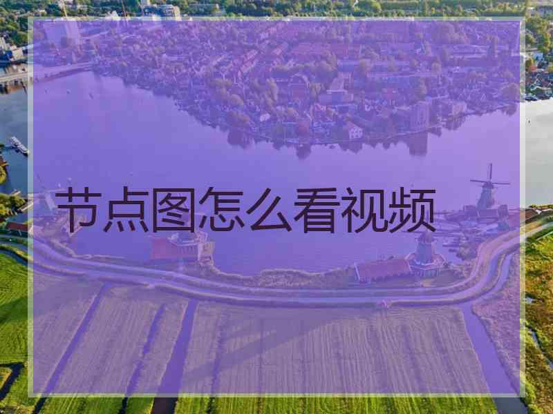 节点图怎么看视频