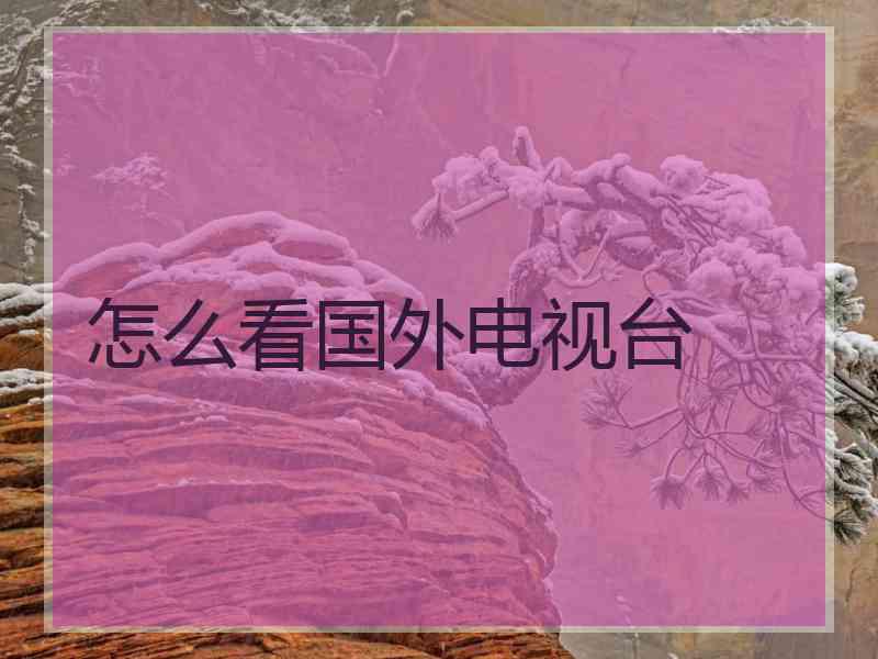 怎么看国外电视台