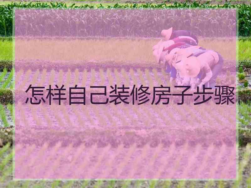 怎样自己装修房子步骤