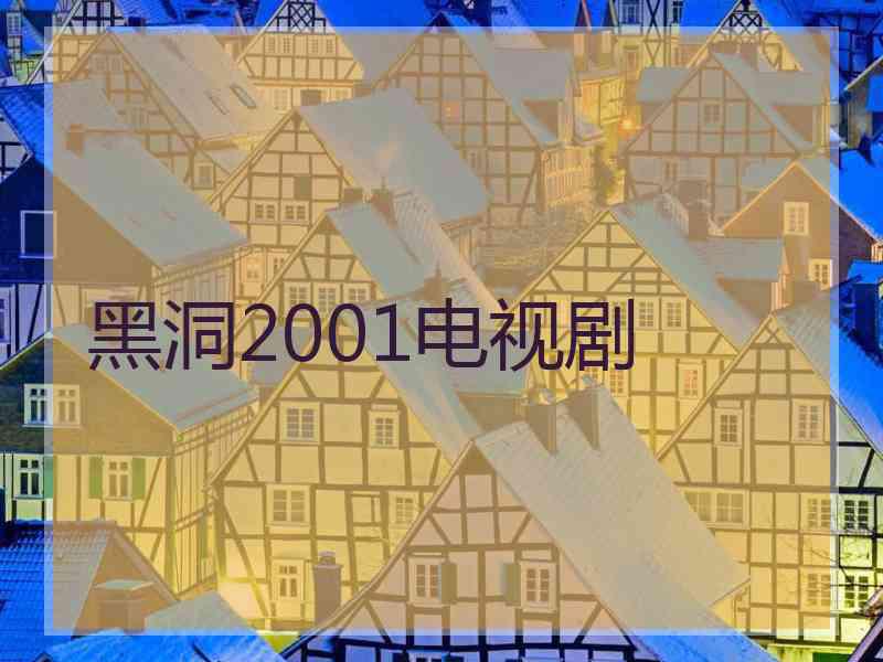 黑洞2001电视剧