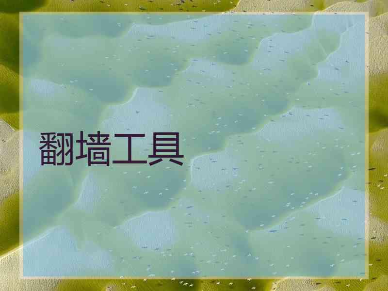 翻墙工具