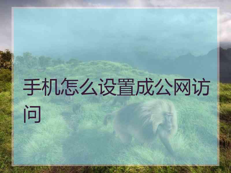 手机怎么设置成公网访问