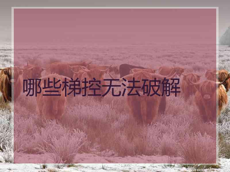 哪些梯控无法破解