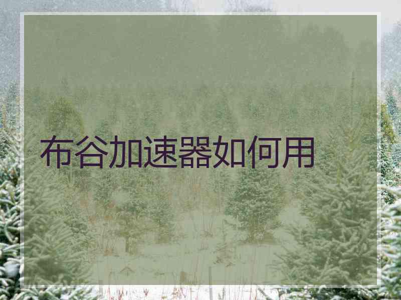 布谷加速器如何用