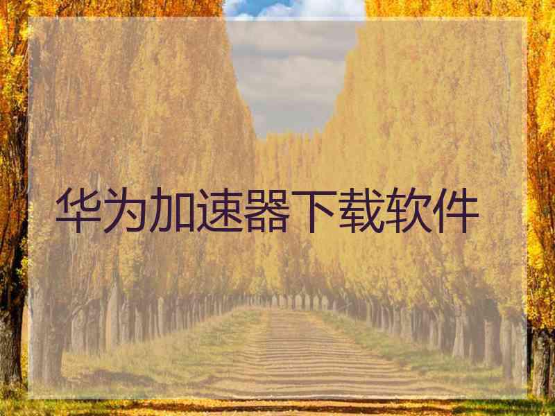 华为加速器下载软件
